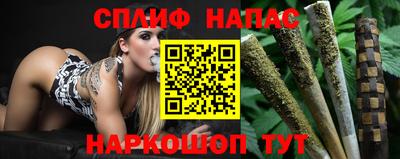 крисы Нальчик
