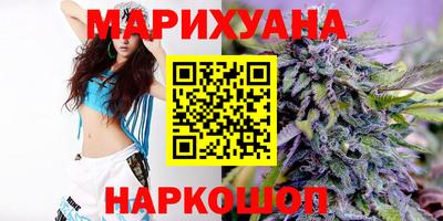 крисы Нальчик