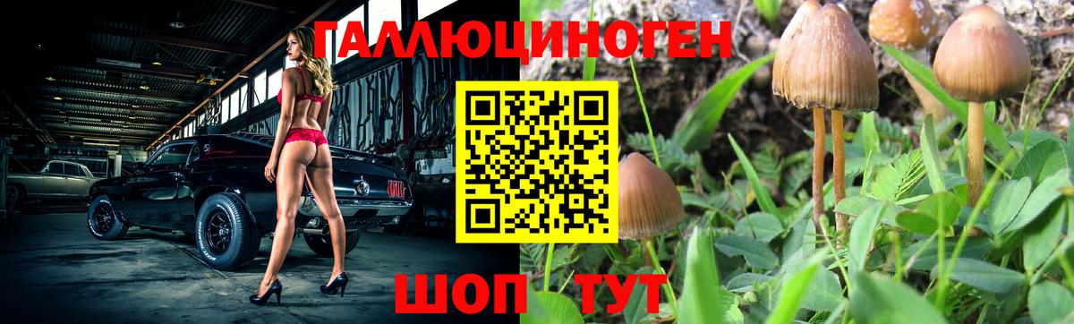Галлюциногенные грибы GOLDEN TEACHER  Вход с VPN  Электрогорск 